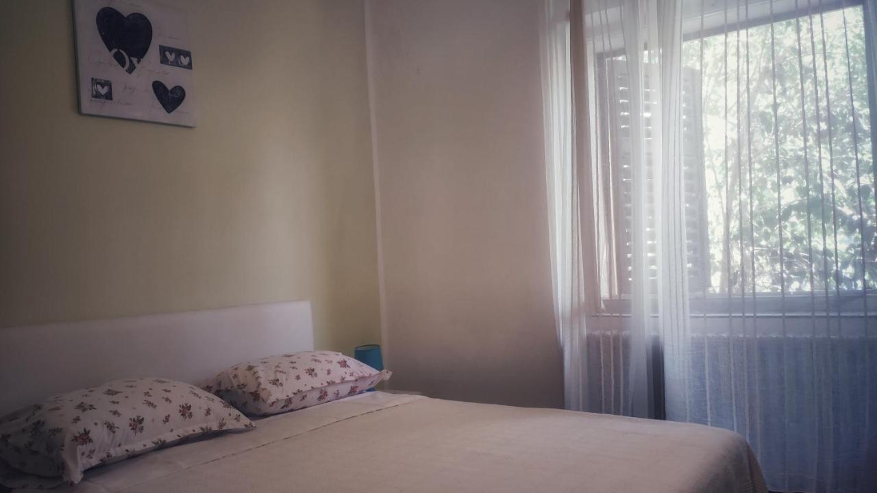 Apartmani Leon 比奥格勒·纳·莫鲁 外观 照片